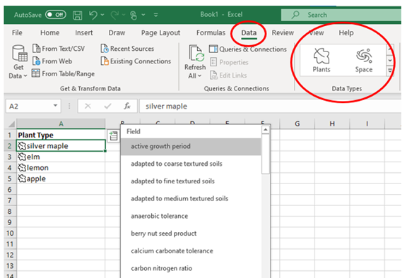 Excel Data Type